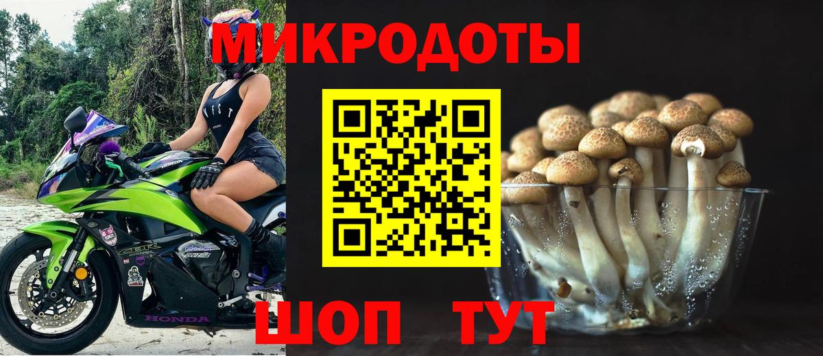 Псилоцибиновые грибы Psilocybine cubensis  Вход с VPN  Домодедово 