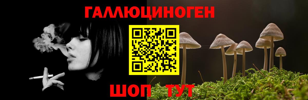 Галлюциногенные грибы прущие грибы Домодедово